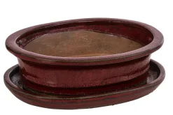 Dehner Keramik-Bonsaischale, oval, rot/grau