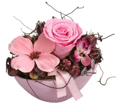 Dehner Keramik-Jardiniere mit Longlife-Rose Mila, rosa, ca. B17/H12/T8 cm