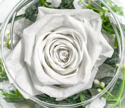 Dehner Kugelglas mit Longlife-Rose Abby, ca. Ø10 cm