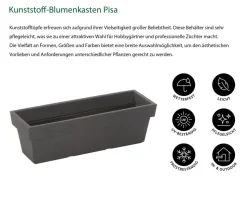 Dehner Kunststoff-Blumenkasten Pisa, ca. B60/H20/T20 cm, anthrazit