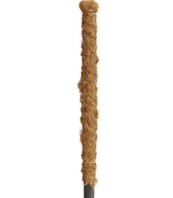 Dehner Moosstab