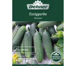 Dehner Premium Samen Essiggurke 'Diamant'