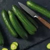 Dehner Premium Samen Mini-Gurke 'Party Time F1'