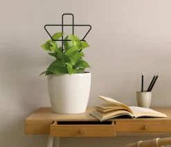 Dehner Rankhilfe-Set Geometrisch, 2-teilig