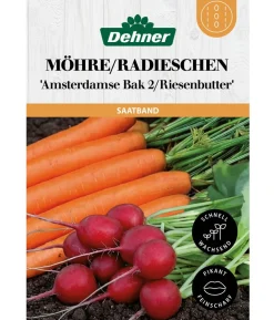 Dehner Saatband Möhre/Radieschen 'Amsterdamse Bak 2/Riesenbutter', L5 m