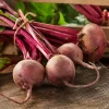 Dehner Saatband Rote Bete 'Rote Kugel 2', L5 m