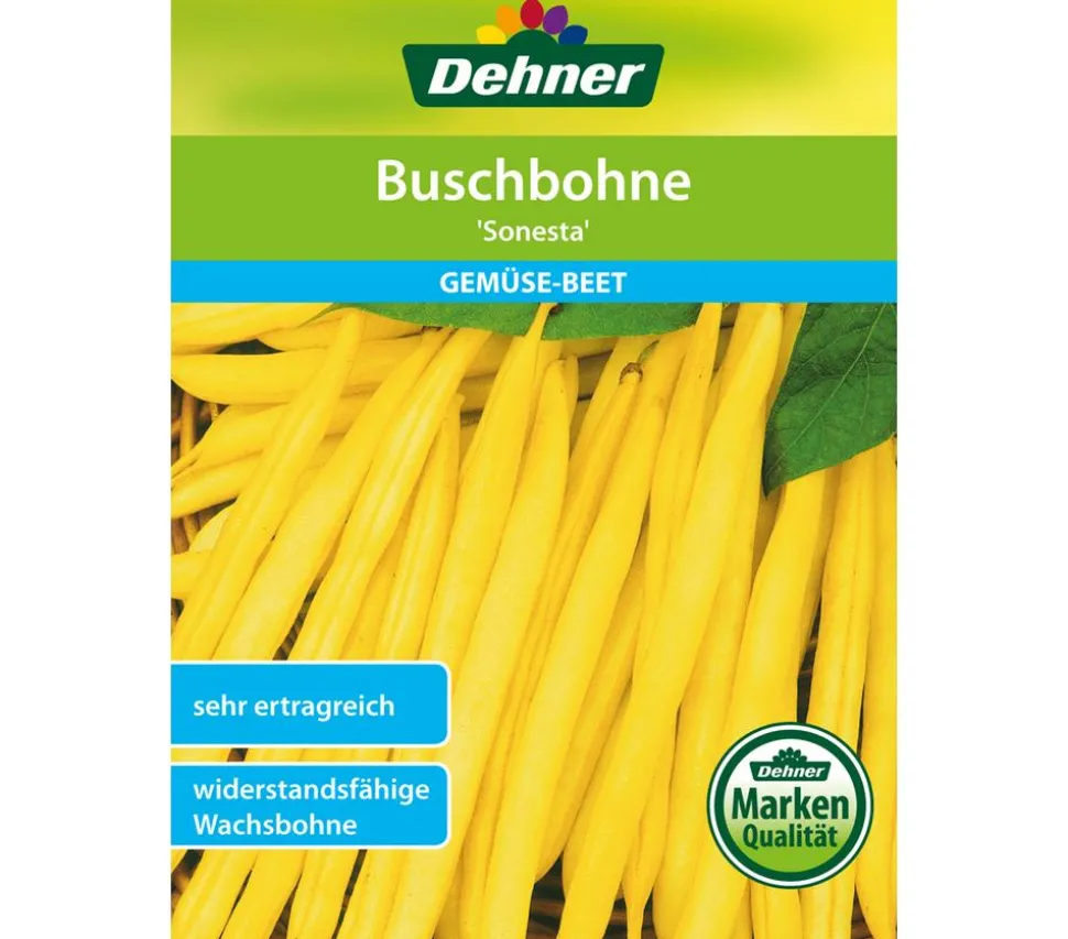 Dehner Samen Buschbohne 'Sonesta'