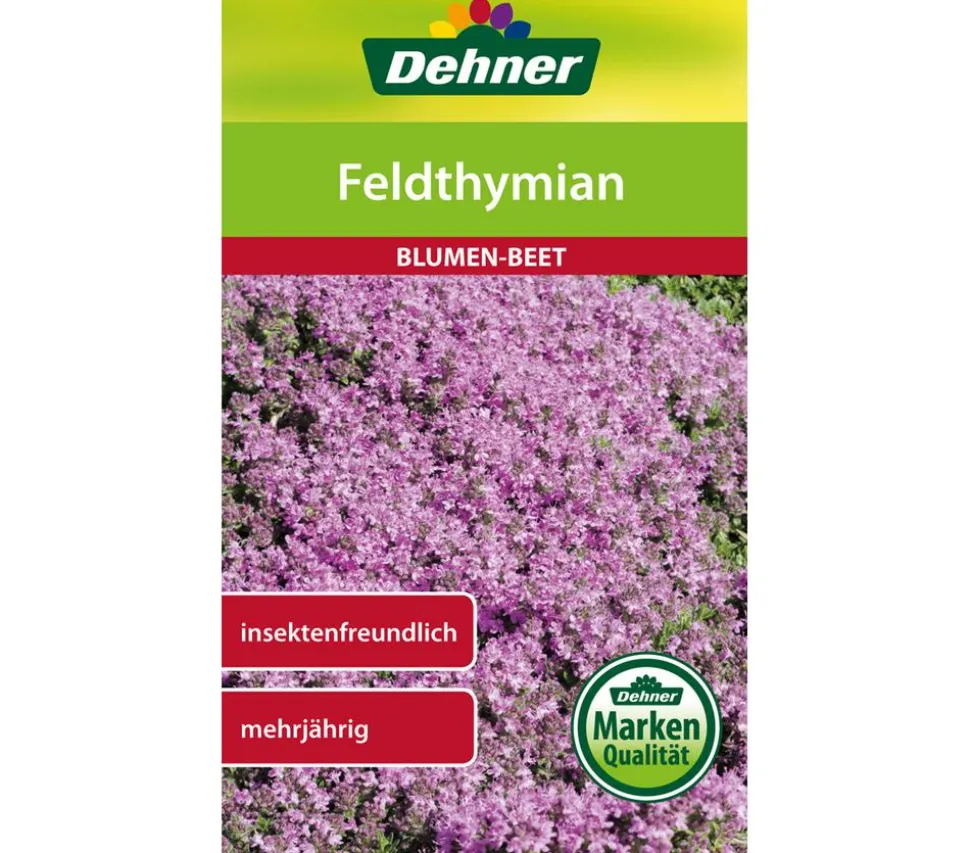 Dehner Samen Feldthymian