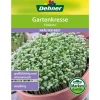 Dehner Samen Gartenkresse 'Einfache'