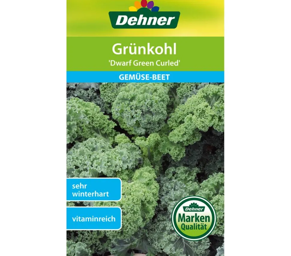 Dehner Samen Grünkohl 'Dwarf Green Curled'