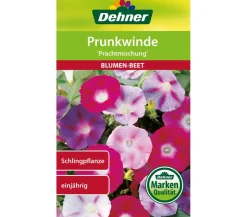 Dehner Samen Prunkwinde 'Prachtmischung'