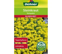 Dehner Samen Steinkraut 'Kompakta'