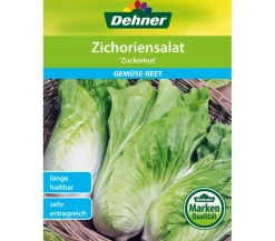 Dehner Samen Zichoriensalat 'Zuckerhut'