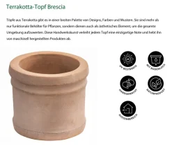Dehner Terrakotta-Topf Brescia, rund
