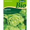 Dehner Bio Samen Kopfsalat 'Matilda'