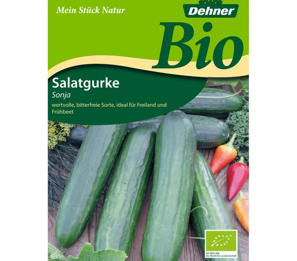 Dehner Bio-Samen Salatgurken 'Sonja'