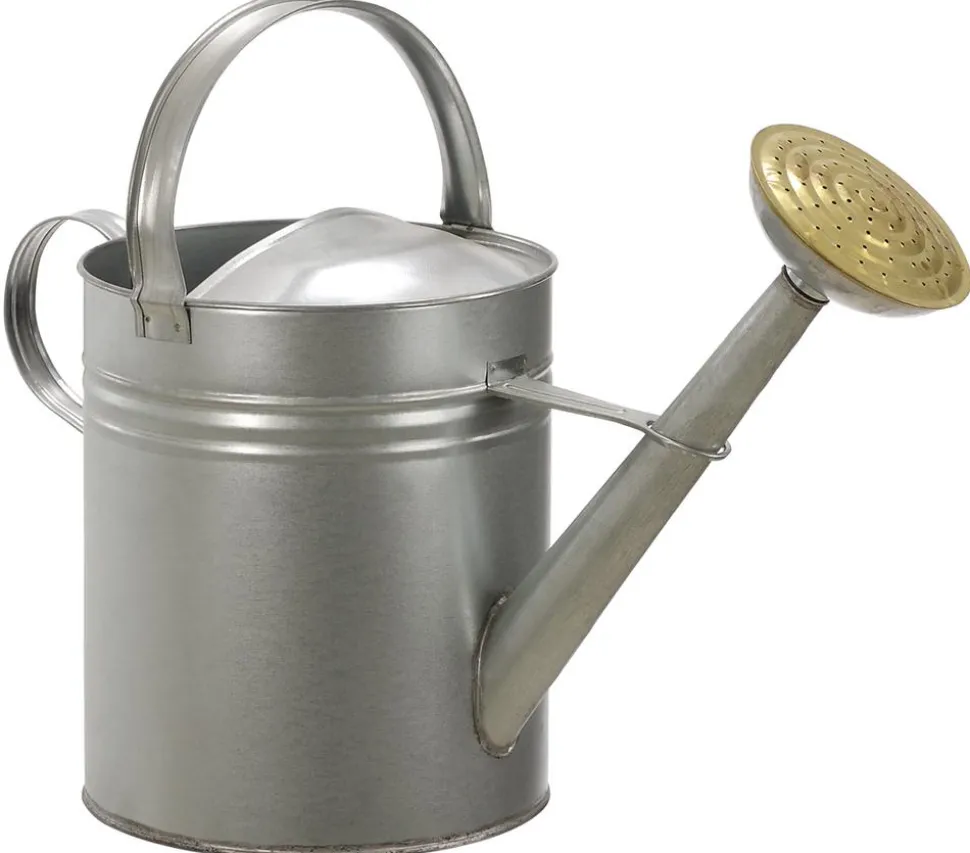 Dehner Blechgießkanne, 9 l