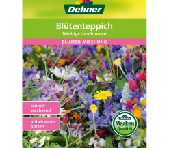 Dehner Blütenteppich 'Niedrige Landblumen'