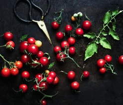 Dehner Gourmet Garten Cherrytomate, veredelt