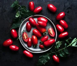 Dehner Gourmet Garten Datteltomate, veredelt