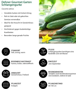 Dehner Gourmet Garten Gemüse-Set Kleiner Balkon, 3-teilig