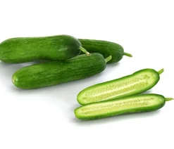 Dehner Gourmet Garten Minigurke, veredelt
