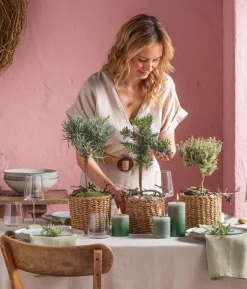 Dehner Gourmet Garten Rosmarin, Stamm