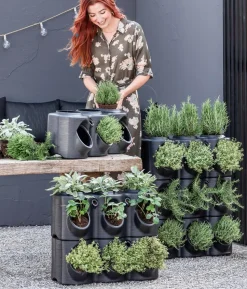 Dehner Gourmet Garten Rosmarin