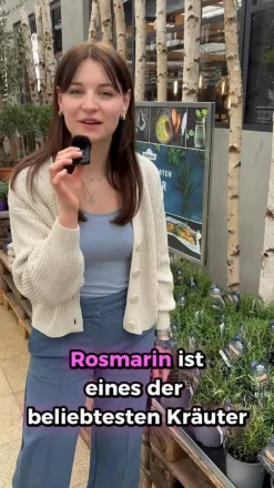 Dehner Gourmet Garten Rosmarin