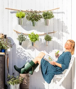 Dehner Gourmet Garten Zitronenmelisse