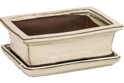 Dehner Keramik-Bonsaischale, rechteckig, ca. B18/H6/T14 cm