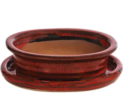 Dehner Keramik-Bonsaischale, oval, rot