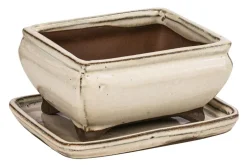 Dehner Keramik-Bonsaischale, rechteckig, ca. B15/H6,5/T11 cm