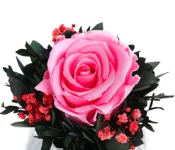 Dehner Keramik-Schale mit Longlife-Rose Perla, ca. Ø12/H16 cm