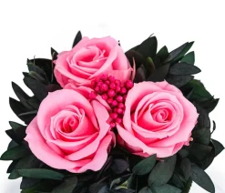 Dehner Keramik-Schale mit Longlife-Rose Izzy, ca. Ø12/H16 cm