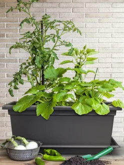 Dehner Kunststoff-Blumenkasten Magnus, rechteckig. ca. B98/H37/T38 cm