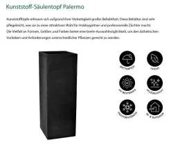 Dehner Kunststoff-Säulentopf Palermo, quadratisch