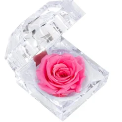 Dehner Longlife-Rose in Juwelenbox, ca. Ø3,5 cm