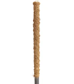 Dehner Moosstab