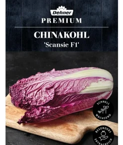 Dehner Premium Samen Chinakohl 'Scansie F1'