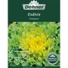 Dehner Premium Samen Endivien 'Eminence'