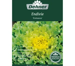 Dehner Premium Samen Endivien 'Eminence'
