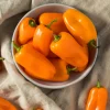 Dehner Premium Samen Mini-Paprika 'Snacking F1'