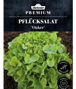 Dehner Premium Samen Pflücksalat 'Oaker'