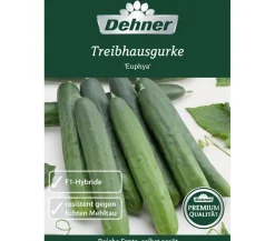 Dehner Premium Samen Treibhausgurke 'Euphya'