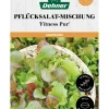 Dehner Saatband Pflücksalat-Mischung 'Fitness Pur', L5 m