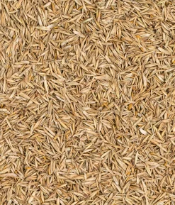 Dehner Saatgut Universalrasen, 500 g