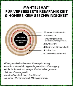 Dehner Saatgut Universalrasen, 500 g