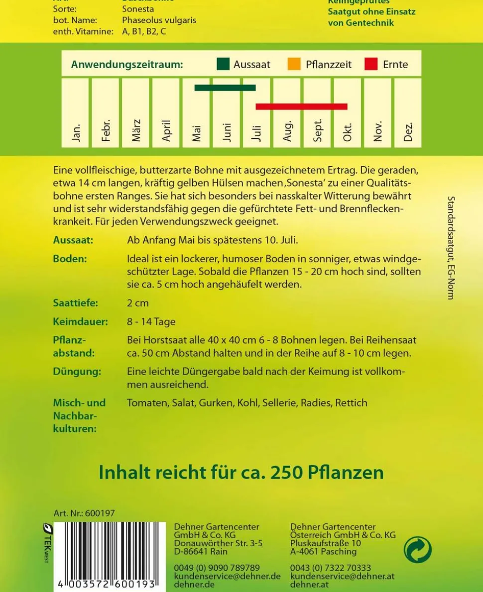 Dehner Samen Buschbohne 'Sonesta'