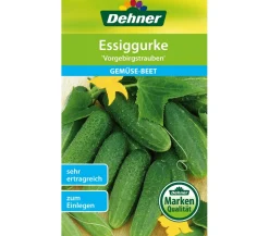 Dehner Samen Essiggurke 'Vorgebirgstrauben'
